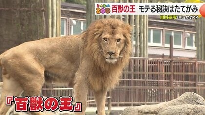 動物園の新たな魅力！夏休みの自由研究にぴったりな動物たちの秘密　可愛らしい赤ちゃんの誕生から意外な生態まで【愛媛発】