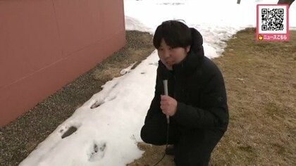 【ヒグマ始動か】「雪の上にハッキリと」記者もビックリ！中学校の校舎のすぐそばに”クマのような足跡”があるのを教頭先生が発見―長さ21センチ、幅10センチほど…生徒や保護者に緊張走る＜北海道弟子屈町＞