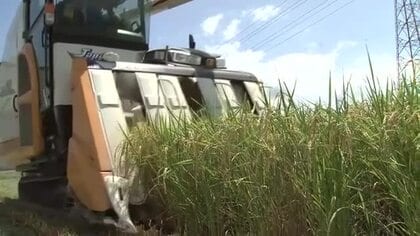 「とんでもない赤字」コメ作りやめる農家も　JA福井県が概算金示せない中…ハナエチゼンの収穫始まる　「生産原価は2万2000円」農家が苦悩