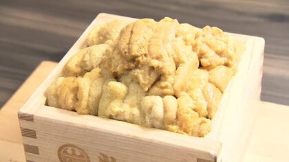 「一杯1万円」だった積丹半島のウニ丼のお値段は？出漁半減の2024年⇒天候安定・生育良好の2025年「これからウニはもっと本気出してまだまだ甘くなります」〈北海道〉