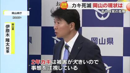全国的な「冬の味覚」カキの死滅　岡山県でも１割～７割程度の死滅に伊原木知事は「事態を注視」【岡山】　