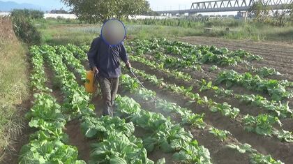 再三、注意も無視…河川敷に無許可「ヤミ畑」　小屋すべて撤去も耕作続く　担当者「物理的に入れなくする措置も」