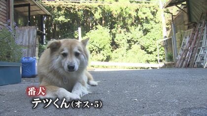番犬は見た！原付バイク窃盗事件 犯行の一部始終　窃盗犯の運転技術が未熟で意外な展開に…【福岡発】