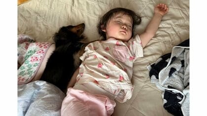 暑くても添い寝したい!愛犬が1歳娘とピッタリくっついて寝る姿が尊い…飼い主「全長が似たり寄ったりで微笑ましい」