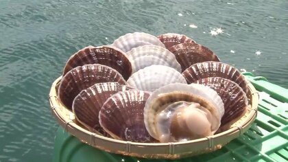 復興への輝き荒海ホタテ「若い人が来てくれるよう」これから10年の課題 【岩手発】