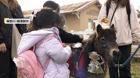 “師走”最初の週末は厳しい寒さ…神奈川では来年の干支“午”と一緒の撮影会　愛媛では白クマ「ピース」26歳の誕生会「一日でも長く健康に」