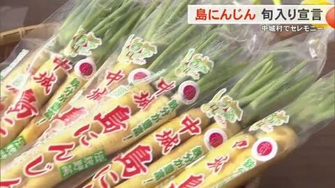 12月12日は「島にんじんの日」　産地の中城村で旬入り宣言