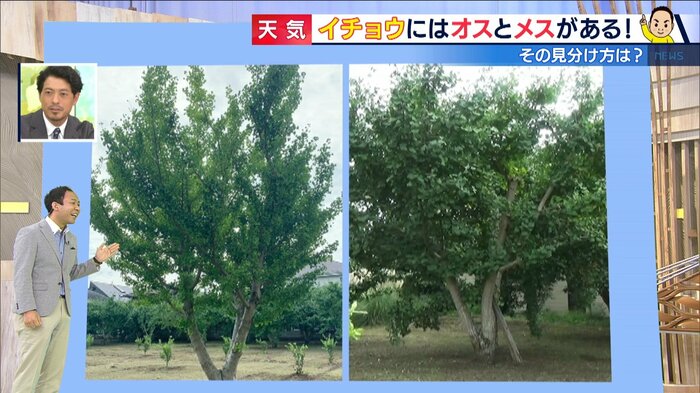 東京・三鷹市 山本果樹園