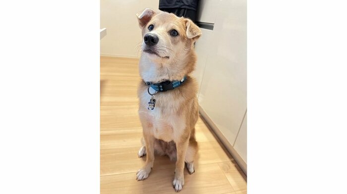 あさぎちゃん