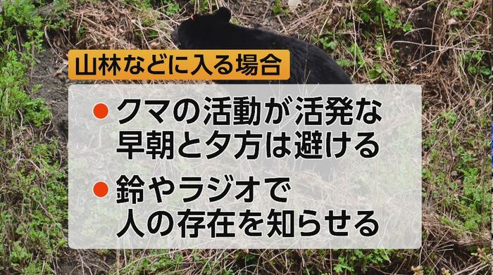 山林などに入る場合の対策