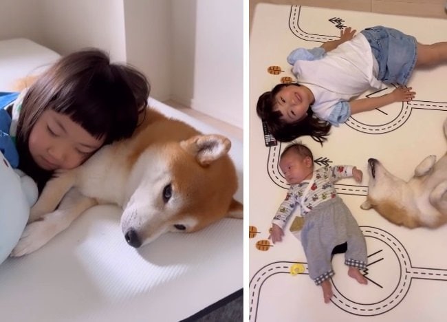 普段から寝る時はいつも一緒なももこちゃんとこたろうくん。しゅんくんも一緒に寝ることも?