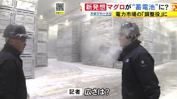 ニュースONE