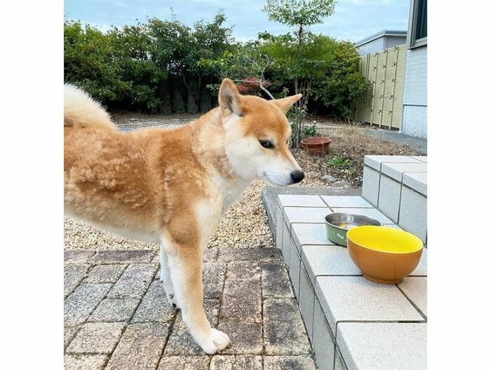 提供:556さん