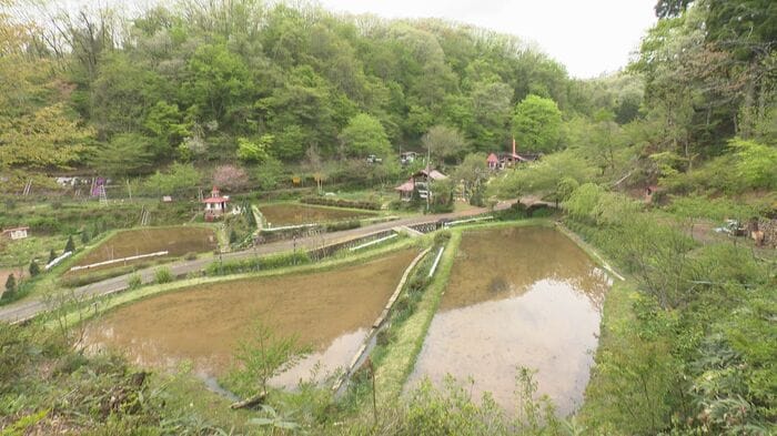 山あいの自然体験村