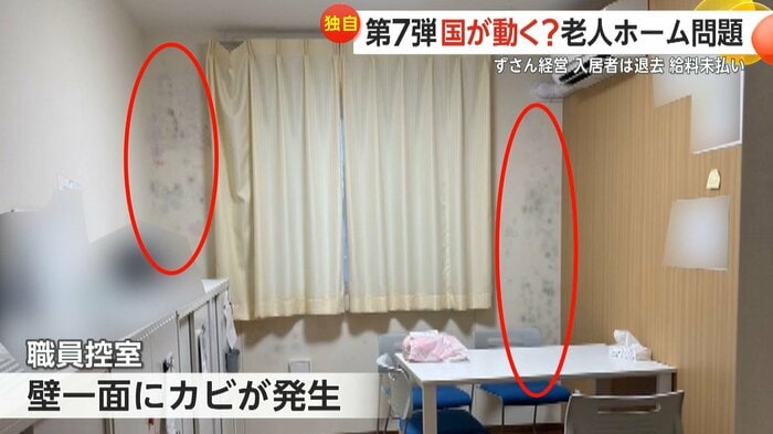 職員控室の壁一面にカビが…