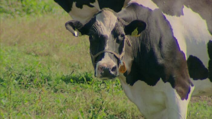 別海町では多額の寄付を集める