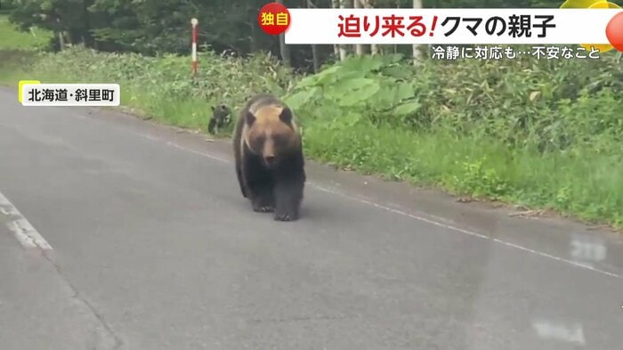 撮影者の車に近づいてくるクマ(視聴者提供)