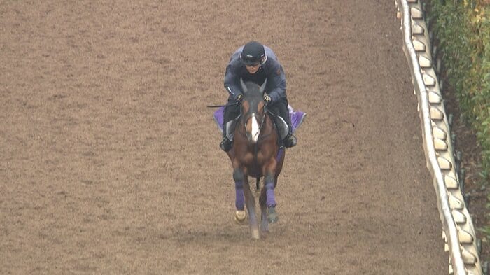 最終追い切りに臨むアドマイヤクワッズ