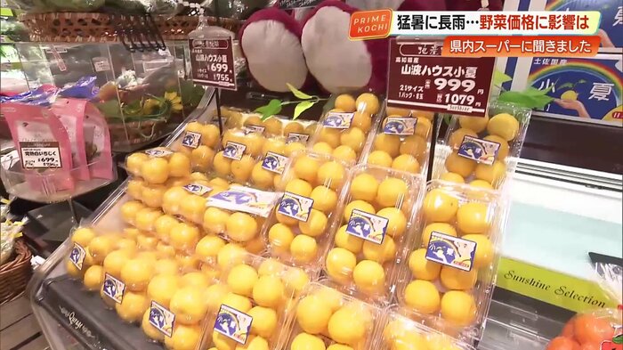 高知の特産品「小夏」が高騰中