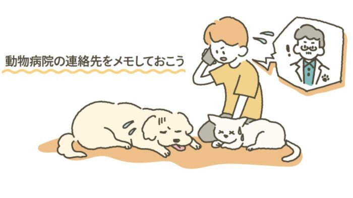 飼い主は慌てず、獣医師に連絡しよう