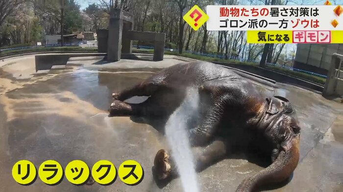 (茶臼山動物園)