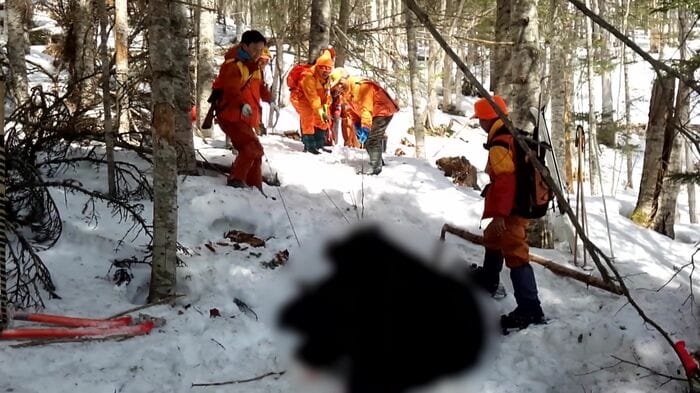 最前線でクマを駆除する猟友会