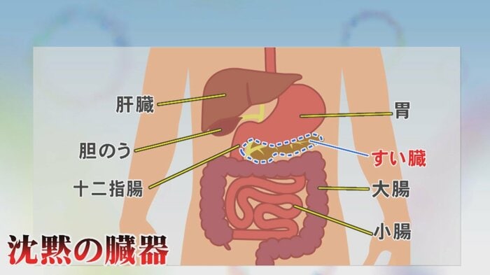 ニュースONE