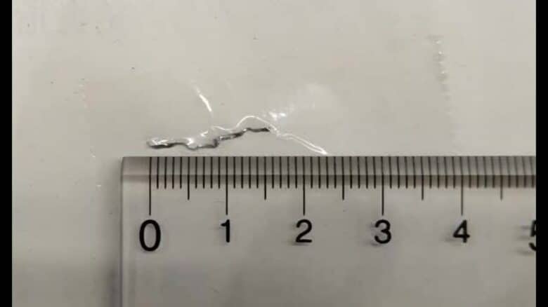 鳥栖市の保育所で提供されたおにぎりから異物 金たわしの破片か 体調不良の訴えなし【佐賀県】｜FNNプライムオンライン
