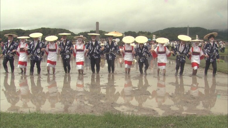 約800年続くとされる…伊勢神宮の別宮・伊雑宮で伝統の神事『御田植祭』田楽が流れるなか苗を植える｜FNNプライムオンライン