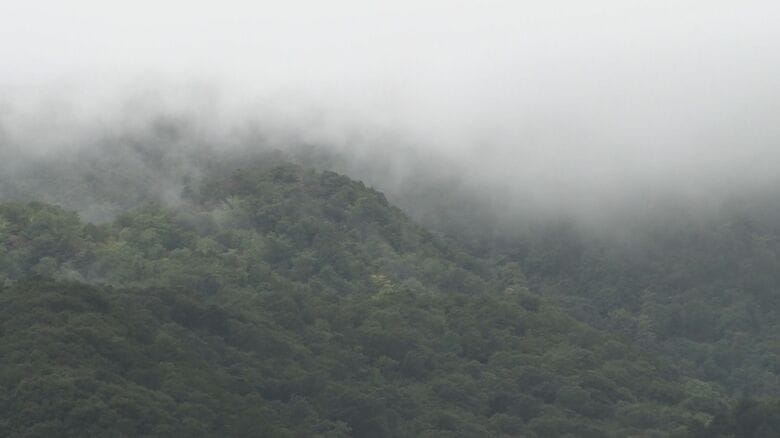 「転んで腰が痛くて歩けない」写真撮りに訪れた80代男性が遭難 山岳コースから外れた場所歩いていたか…警察・消防が捜索に当たる 新潟・佐渡市｜FNNプライムオンライン