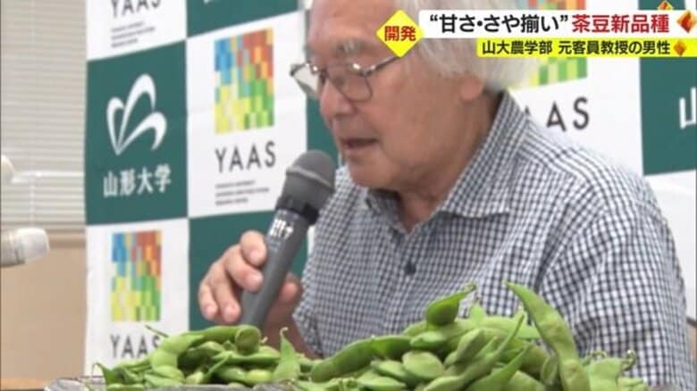 開発期間は約20年　山形大学元客員教授が「茶豆新品種」を開発　“甘み強くさやぞろいが良い”のが特徴【山形発】｜FNNプライムオンライン