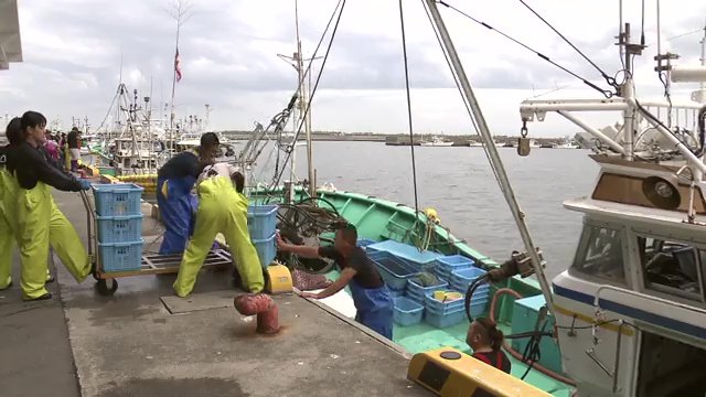 安全な魚を消費者へ 若手育成も地域の活性も 漁師にできることを