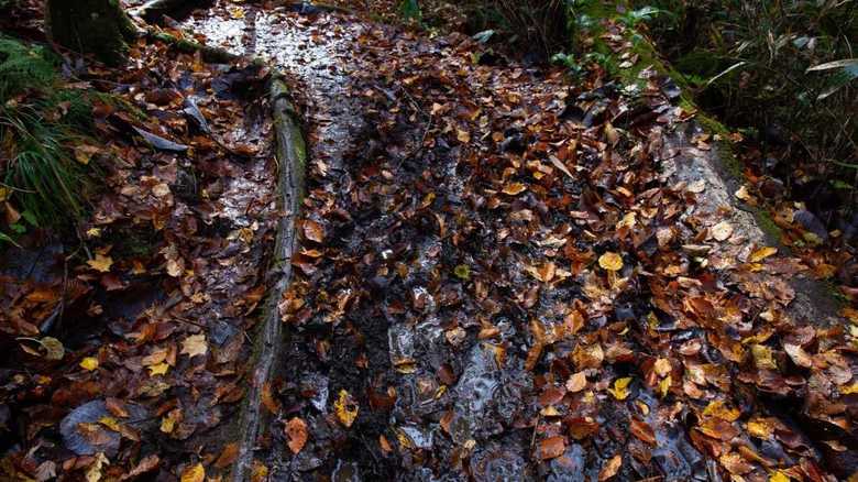一見すると水や湿地帯と遠く感じる地名でも、関連していることもある(画像はイメージ)