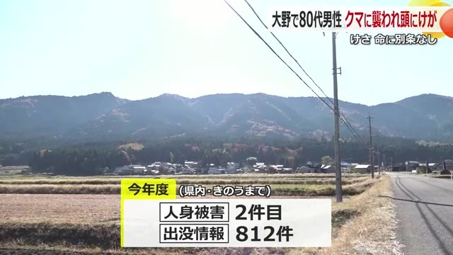 福井県内のクマ被害の状況