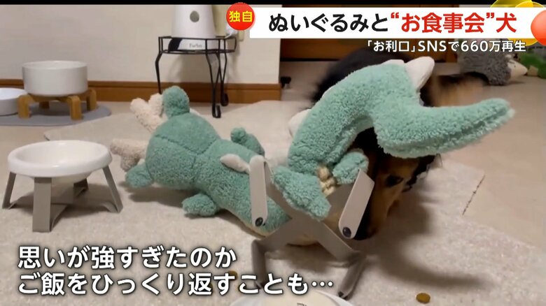 ご飯をひっくり返してしまうこともあったお食事会の様子