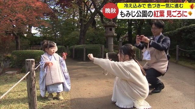 紅葉を背景に晴れ着姿の子どもをパシャリ