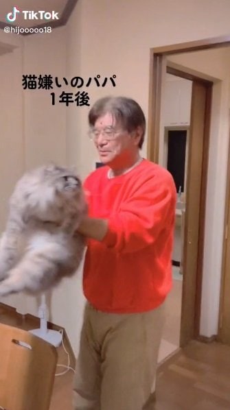 ゆっくりぐるりと回転