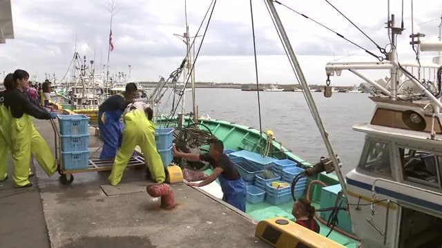 安全な魚を消費者へ　若手育成も地域の活性も　漁師にできることを