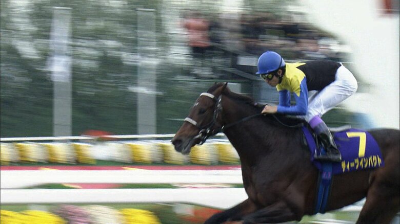 クラシック3冠を制したディープインパクト