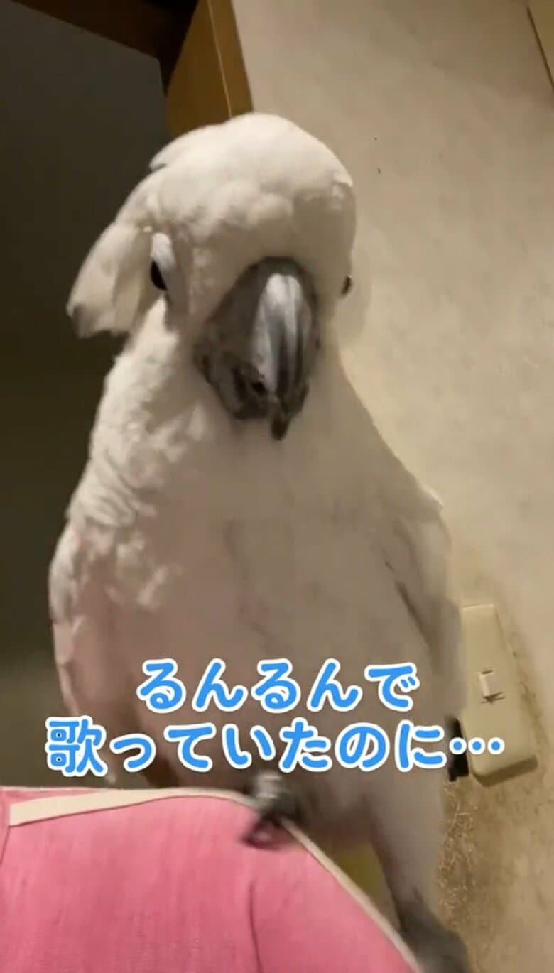 端に行ってしまい…片足がスルリ