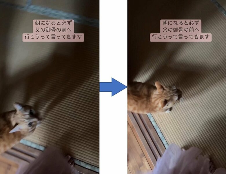 到着した先は亡き父親の祭壇