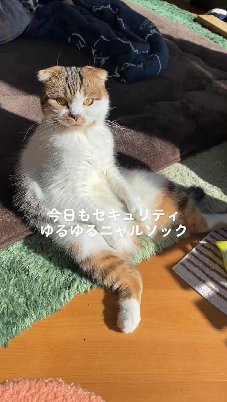 起きた
