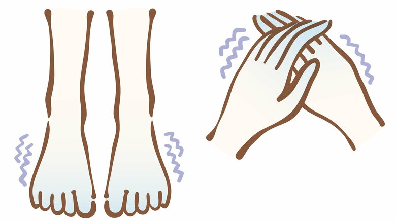  冷え性の人は手足から熱が放出されにくいという