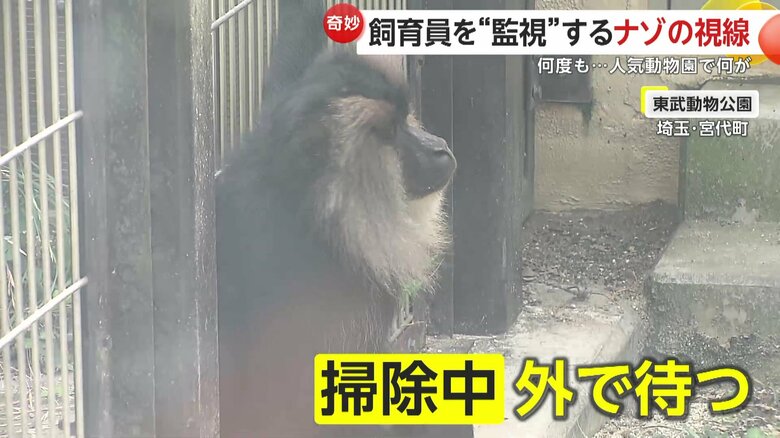 部屋を掃除している間は、外の展示場で待機するシーラくん