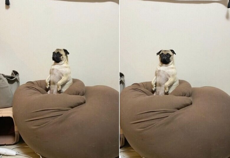 提供：よこむすびさん