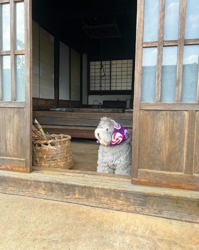 提供：レノン&れあるさん