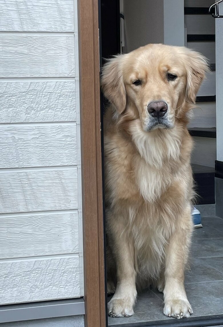 ごみ捨てとお散歩を勘違いしたとき