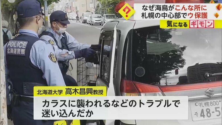 警察の車両に乗せられるウ