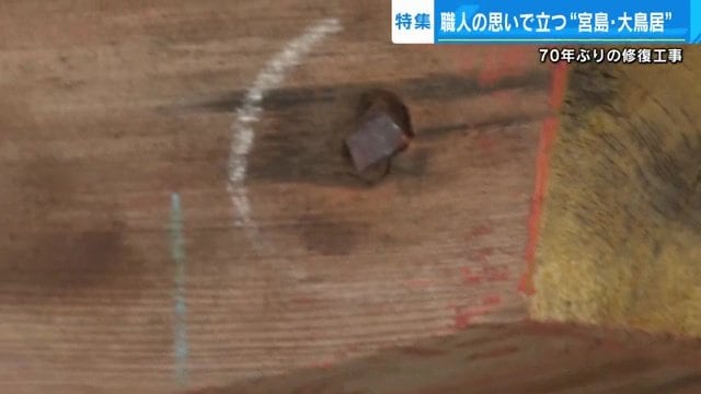 釘のサビを落とす作業を行い、金属光沢が出てきた釘