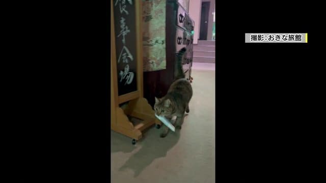 お客様へおしぼりを…